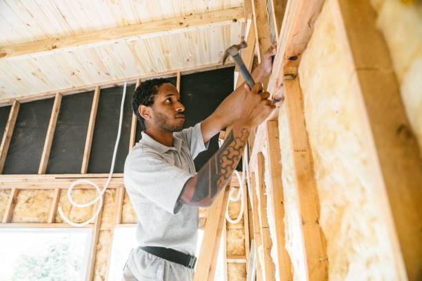 Best Insulation Replacement Services  in Fairhope, AL